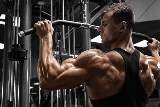 Testosterone Enanthate 250 mg Elbrus Pharmaceuticals pour les athlètes